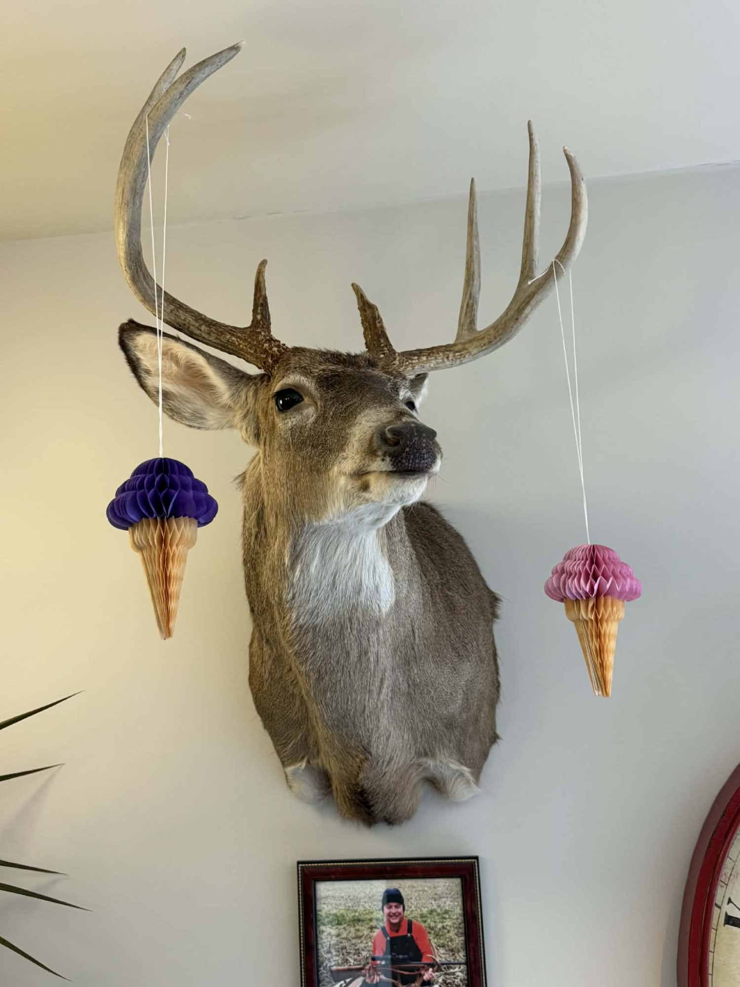 /upload/1da3f9b4-468f-490d-a1b8-6cf9d369b20e