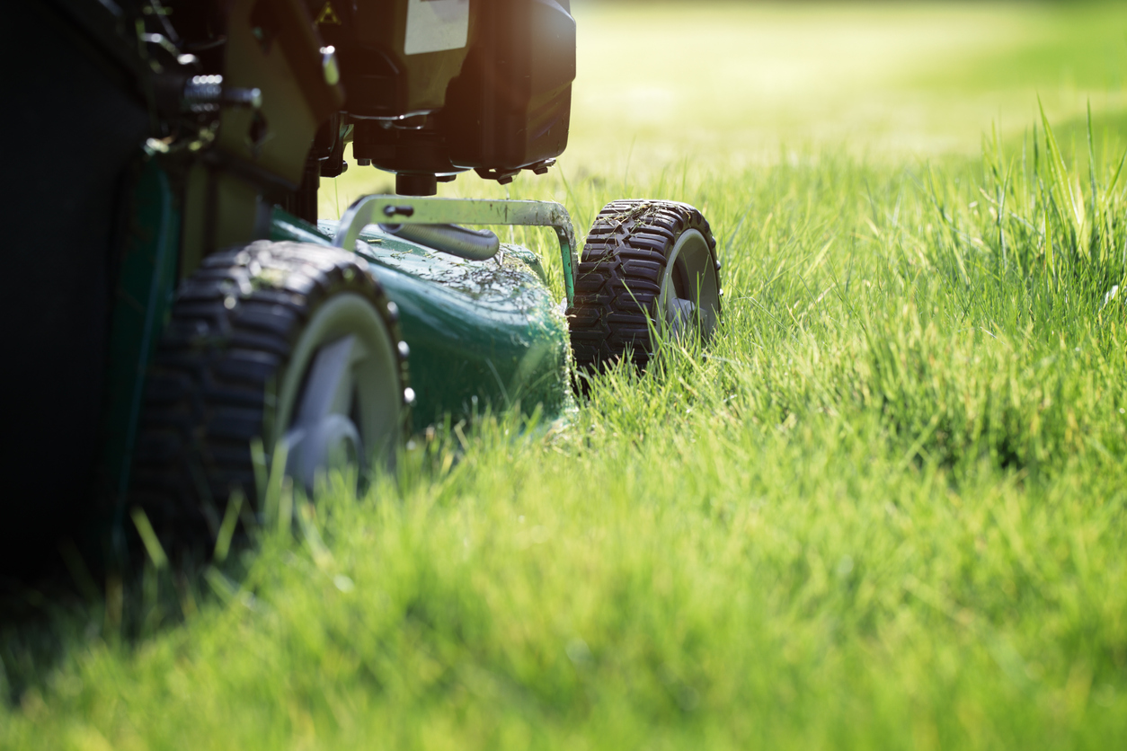 maintenance, snow removal, lawn care, senior living community, programs, wedgewood estates